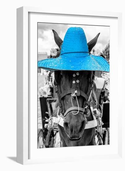 ¡Viva Mexico! B&W Collection - Portrait of Horse with Blue Hat-Philippe Hugonnard-Framed Photographic Print