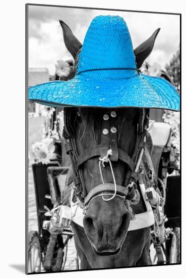 ¡Viva Mexico! B&W Collection - Portrait of Horse with Blue Hat-Philippe Hugonnard-Mounted Photographic Print