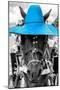 ¡Viva Mexico! B&W Collection - Portrait of Horse with Blue Hat-Philippe Hugonnard-Mounted Photographic Print