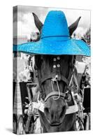 ¡Viva Mexico! B&W Collection - Portrait of Horse with Blue Hat-Philippe Hugonnard-Stretched Canvas