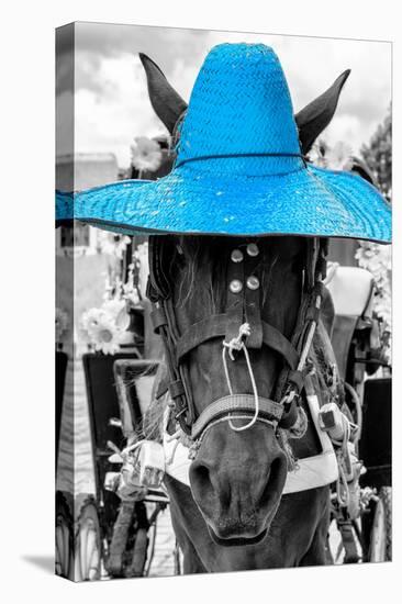 ¡Viva Mexico! B&W Collection - Portrait of Horse with Blue Hat-Philippe Hugonnard-Stretched Canvas