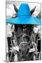 ¡Viva Mexico! B&W Collection - Portrait of Horse with Blue Hat-Philippe Hugonnard-Mounted Photographic Print