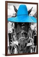 ¡Viva Mexico! B&W Collection - Portrait of Horse with Blue Hat-Philippe Hugonnard-Framed Photographic Print