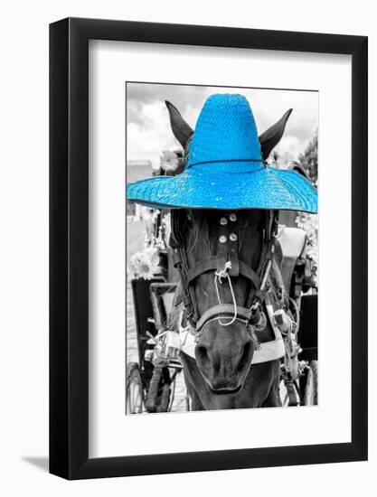 ¡Viva Mexico! B&W Collection - Portrait of Horse with Blue Hat-Philippe Hugonnard-Framed Photographic Print