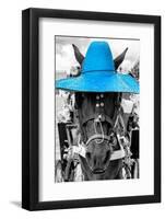 ¡Viva Mexico! B&W Collection - Portrait of Horse with Blue Hat-Philippe Hugonnard-Framed Photographic Print