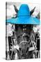 ¡Viva Mexico! B&W Collection - Portrait of Horse with Blue Hat-Philippe Hugonnard-Stretched Canvas