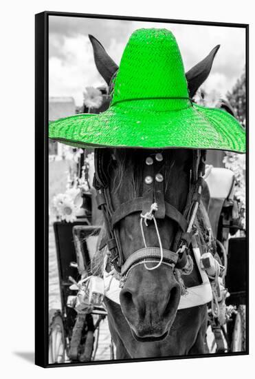 ¡Viva Mexico! B&W Collection - Portrait of Horse with Green Hat-Philippe Hugonnard-Framed Stretched Canvas