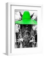 ¡Viva Mexico! B&W Collection - Portrait of Horse with Green Hat-Philippe Hugonnard-Framed Photographic Print