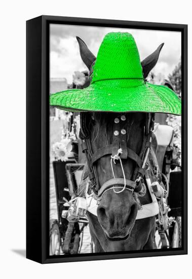 ¡Viva Mexico! B&W Collection - Portrait of Horse with Green Hat-Philippe Hugonnard-Framed Stretched Canvas