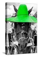 ¡Viva Mexico! B&W Collection - Portrait of Horse with Green Hat-Philippe Hugonnard-Stretched Canvas
