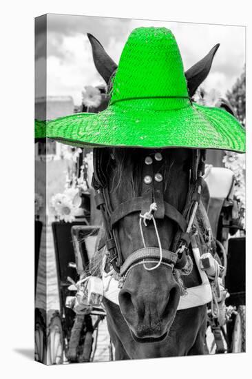 ¡Viva Mexico! B&W Collection - Portrait of Horse with Green Hat-Philippe Hugonnard-Stretched Canvas