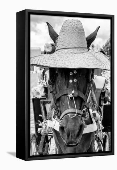 ¡Viva Mexico! B&W Collection - Portrait of Horse with Hat II-Philippe Hugonnard-Framed Stretched Canvas