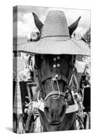 ¡Viva Mexico! B&W Collection - Portrait of Horse with Hat II-Philippe Hugonnard-Stretched Canvas