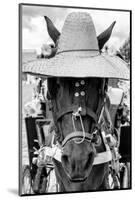 ¡Viva Mexico! B&W Collection - Portrait of Horse with Hat II-Philippe Hugonnard-Mounted Photographic Print