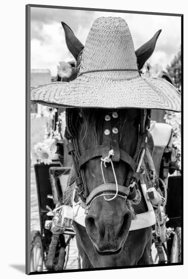 ¡Viva Mexico! B&W Collection - Portrait of Horse with Hat II-Philippe Hugonnard-Mounted Photographic Print