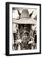 ¡Viva Mexico! B&W Collection - Portrait of Horse with Hat-Philippe Hugonnard-Framed Photographic Print