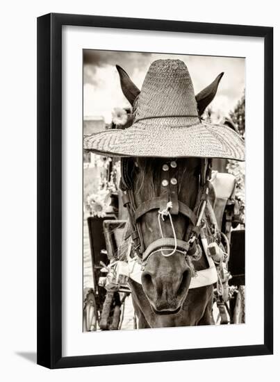 ¡Viva Mexico! B&W Collection - Portrait of Horse with Hat-Philippe Hugonnard-Framed Photographic Print