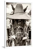 ¡Viva Mexico! B&W Collection - Portrait of Horse with Hat-Philippe Hugonnard-Framed Photographic Print