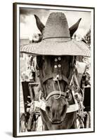 ¡Viva Mexico! B&W Collection - Portrait of Horse with Hat-Philippe Hugonnard-Framed Premium Photographic Print