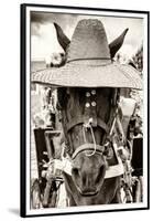 ¡Viva Mexico! B&W Collection - Portrait of Horse with Hat-Philippe Hugonnard-Framed Premium Photographic Print