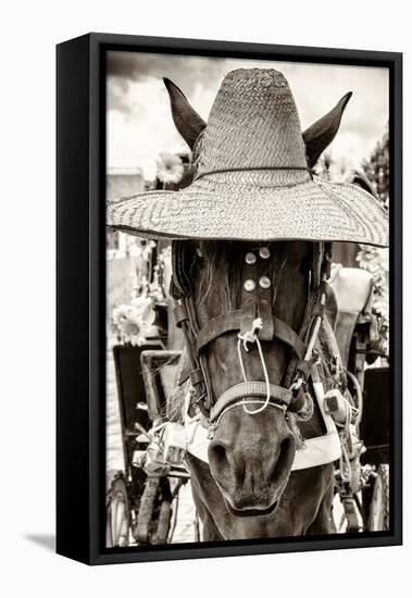 ¡Viva Mexico! B&W Collection - Portrait of Horse with Hat-Philippe Hugonnard-Framed Stretched Canvas