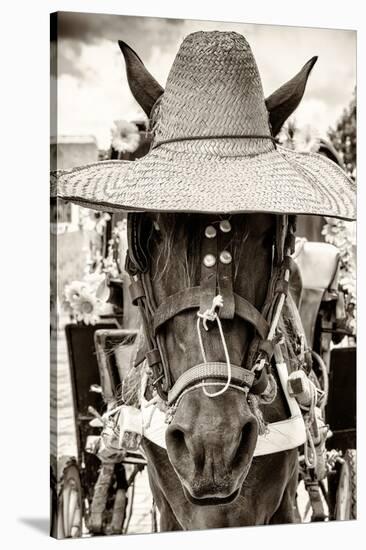 ¡Viva Mexico! B&W Collection - Portrait of Horse with Hat-Philippe Hugonnard-Stretched Canvas