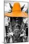 ¡Viva Mexico! B&W Collection - Portrait of Horse with Light Orange Hat-Philippe Hugonnard-Mounted Photographic Print