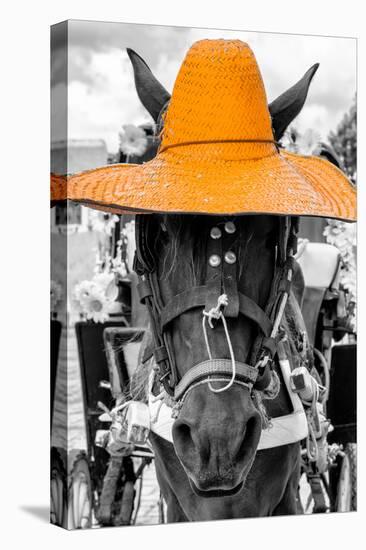 ¡Viva Mexico! B&W Collection - Portrait of Horse with Light Orange Hat-Philippe Hugonnard-Stretched Canvas