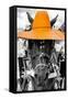 ¡Viva Mexico! B&W Collection - Portrait of Horse with Light Orange Hat-Philippe Hugonnard-Framed Stretched Canvas