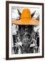 ¡Viva Mexico! B&W Collection - Portrait of Horse with Light Orange Hat-Philippe Hugonnard-Framed Photographic Print