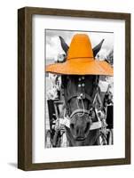 ¡Viva Mexico! B&W Collection - Portrait of Horse with Light Orange Hat-Philippe Hugonnard-Framed Photographic Print