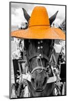 ¡Viva Mexico! B&W Collection - Portrait of Horse with Light Orange Hat-Philippe Hugonnard-Mounted Photographic Print