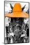 ¡Viva Mexico! B&W Collection - Portrait of Horse with Light Orange Hat-Philippe Hugonnard-Mounted Photographic Print