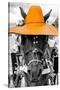 ¡Viva Mexico! B&W Collection - Portrait of Horse with Light Orange Hat-Philippe Hugonnard-Stretched Canvas