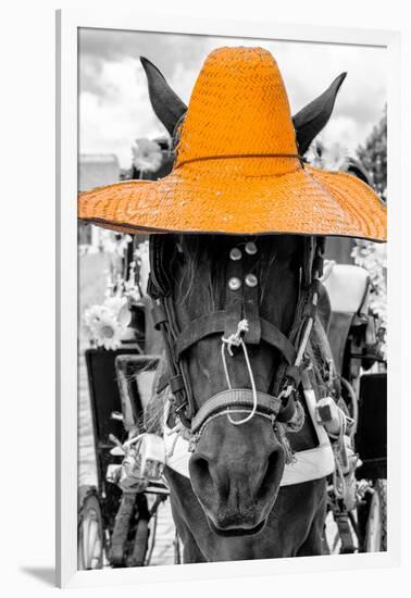 ¡Viva Mexico! B&W Collection - Portrait of Horse with Light Orange Hat-Philippe Hugonnard-Framed Photographic Print