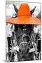 ¡Viva Mexico! B&W Collection - Portrait of Horse with Orange Hat-Philippe Hugonnard-Mounted Photographic Print