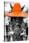 ¡Viva Mexico! B&W Collection - Portrait of Horse with Orange Hat-Philippe Hugonnard-Stretched Canvas