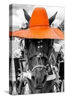 ¡Viva Mexico! B&W Collection - Portrait of Horse with Orange Hat-Philippe Hugonnard-Stretched Canvas