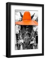 ¡Viva Mexico! B&W Collection - Portrait of Horse with Orange Hat-Philippe Hugonnard-Framed Photographic Print