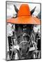 ¡Viva Mexico! B&W Collection - Portrait of Horse with Orange Hat-Philippe Hugonnard-Mounted Photographic Print