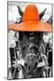 ¡Viva Mexico! B&W Collection - Portrait of Horse with Orange Hat-Philippe Hugonnard-Mounted Photographic Print