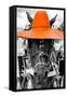 ¡Viva Mexico! B&W Collection - Portrait of Horse with Orange Hat-Philippe Hugonnard-Framed Stretched Canvas