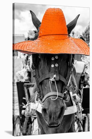 ¡Viva Mexico! B&W Collection - Portrait of Horse with Orange Hat-Philippe Hugonnard-Stretched Canvas