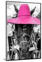 ¡Viva Mexico! B&W Collection - Portrait of Horse with Pink Hat-Philippe Hugonnard-Mounted Photographic Print