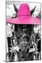 ¡Viva Mexico! B&W Collection - Portrait of Horse with Pink Hat-Philippe Hugonnard-Mounted Premium Photographic Print