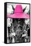 ¡Viva Mexico! B&W Collection - Portrait of Horse with Pink Hat-Philippe Hugonnard-Framed Stretched Canvas