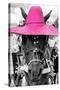 ¡Viva Mexico! B&W Collection - Portrait of Horse with Pink Hat-Philippe Hugonnard-Stretched Canvas