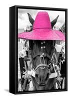 ¡Viva Mexico! B&W Collection - Portrait of Horse with Pink Hat-Philippe Hugonnard-Framed Stretched Canvas