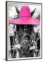 ¡Viva Mexico! B&W Collection - Portrait of Horse with Pink Hat-Philippe Hugonnard-Framed Premium Photographic Print