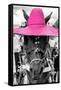 ¡Viva Mexico! B&W Collection - Portrait of Horse with Pink Hat-Philippe Hugonnard-Framed Stretched Canvas